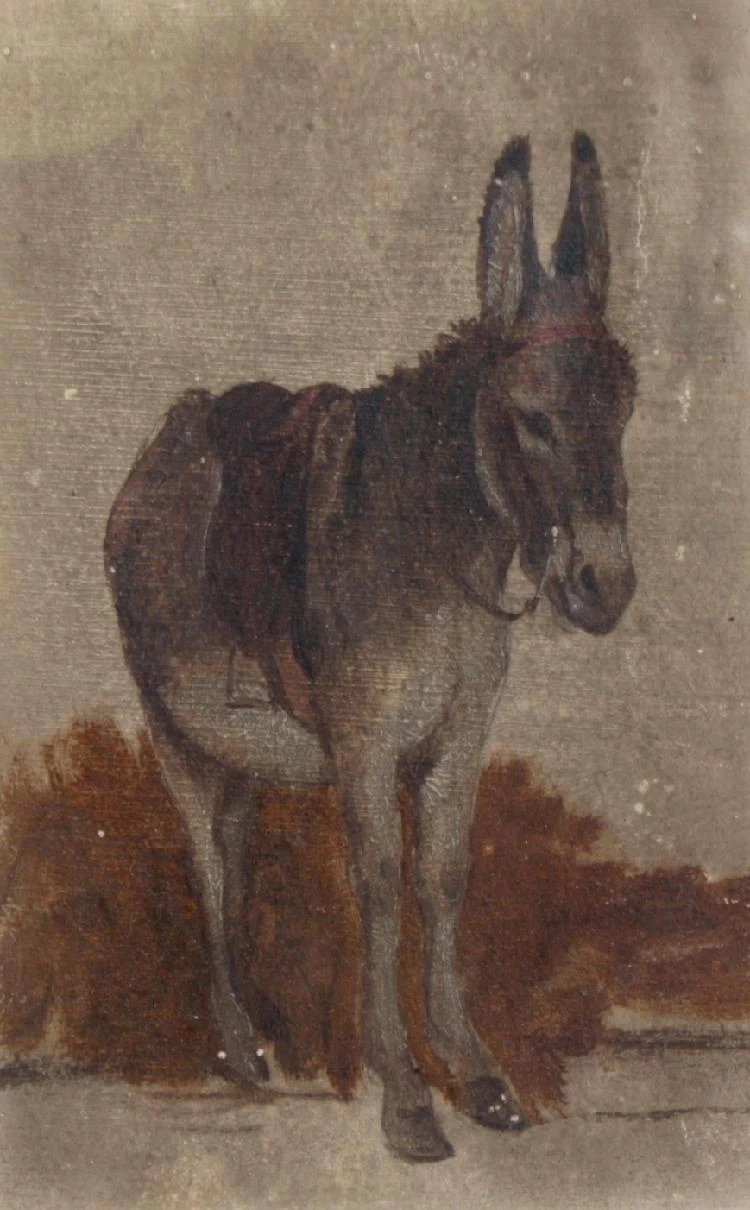 L'asinello